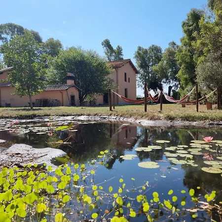 Escuelita Viva Hostel Ostia Antica Exterior photo